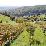 Vineyard Janko&metka