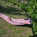 Nyaraló Vineyard Janko&metka Otočec