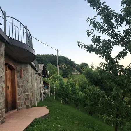 Vineyard Janko&metka *
