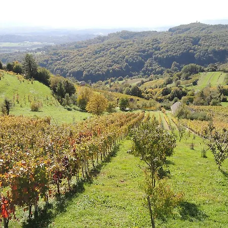 Vineyard Janko & Metka