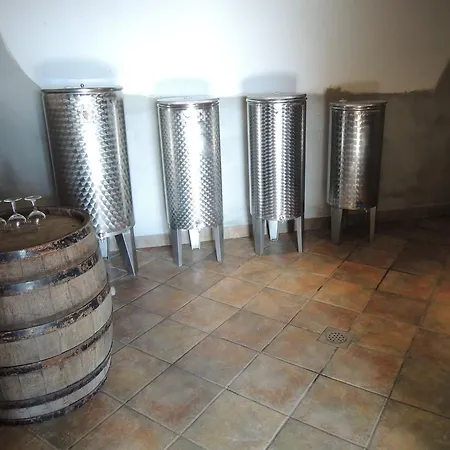 Дом отдыха Vineyard Janko & Metka *