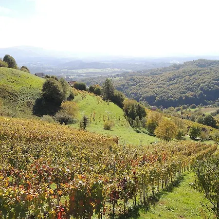 Дом отдыха Vineyard Janko & Metka *