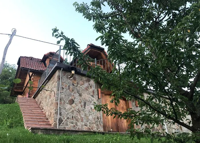 Vineyard Janko & Metka