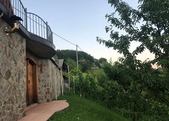 Vineyard Janko & Metka *