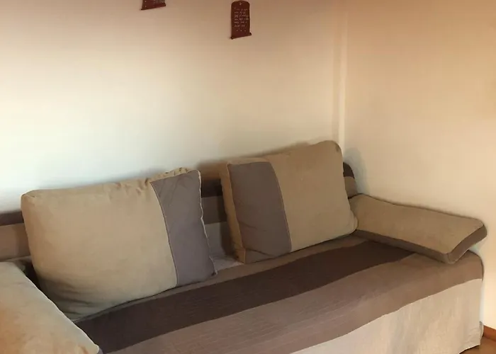 Vineyard Janko & Metka *