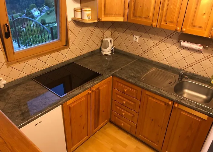 Vineyard Janko & Metka 度假居