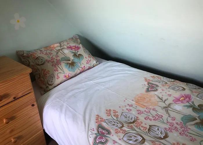 Vineyard Janko & Metka 度假居 *