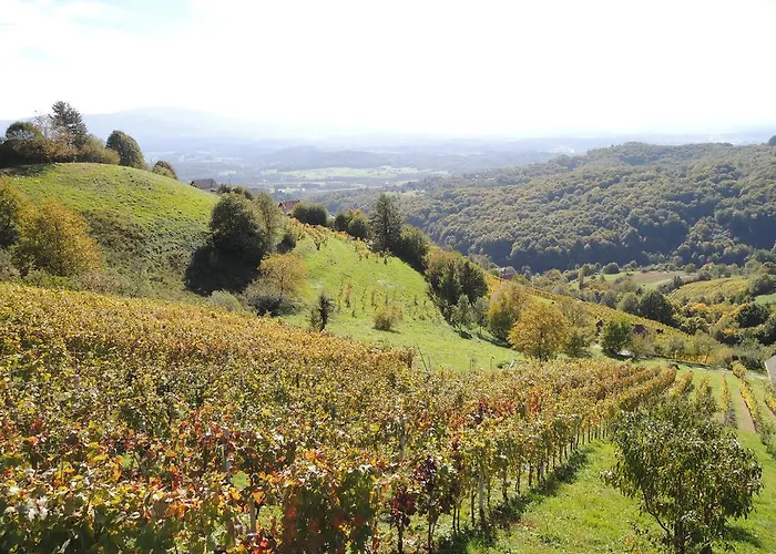 度假居 Vineyard Janko & Metka *