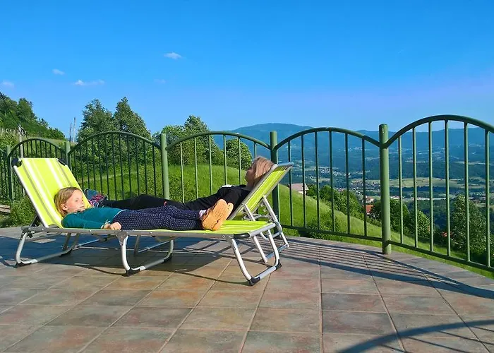 Vineyard Janko & Metka 度假居 奥托塞克